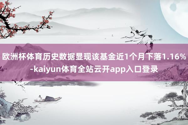 欧洲杯体育历史数据显现该基金近1个月下落1.16%-kaiyun体育全站云开app入口登录
