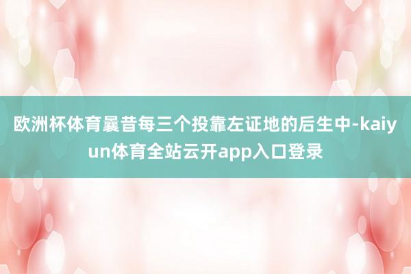 欧洲杯体育曩昔每三个投靠左证地的后生中-kaiyun体育全站云开app入口登录