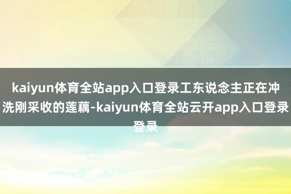 kaiyun体育全站app入口登录工东说念主正在冲洗刚采收的莲藕-kaiyun体